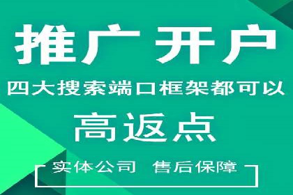 竞价排名在品牌推广中的经典案例